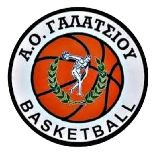 https://img.sxzjxh.com/img/basketball/team/99aa3f28c95a20cc802a5f1a5af87719.png